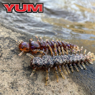 Hellgrammite 软饵 3寸蜈蚣 YUM 精细德州倒吊 仿蜈蚣假饵多足虫