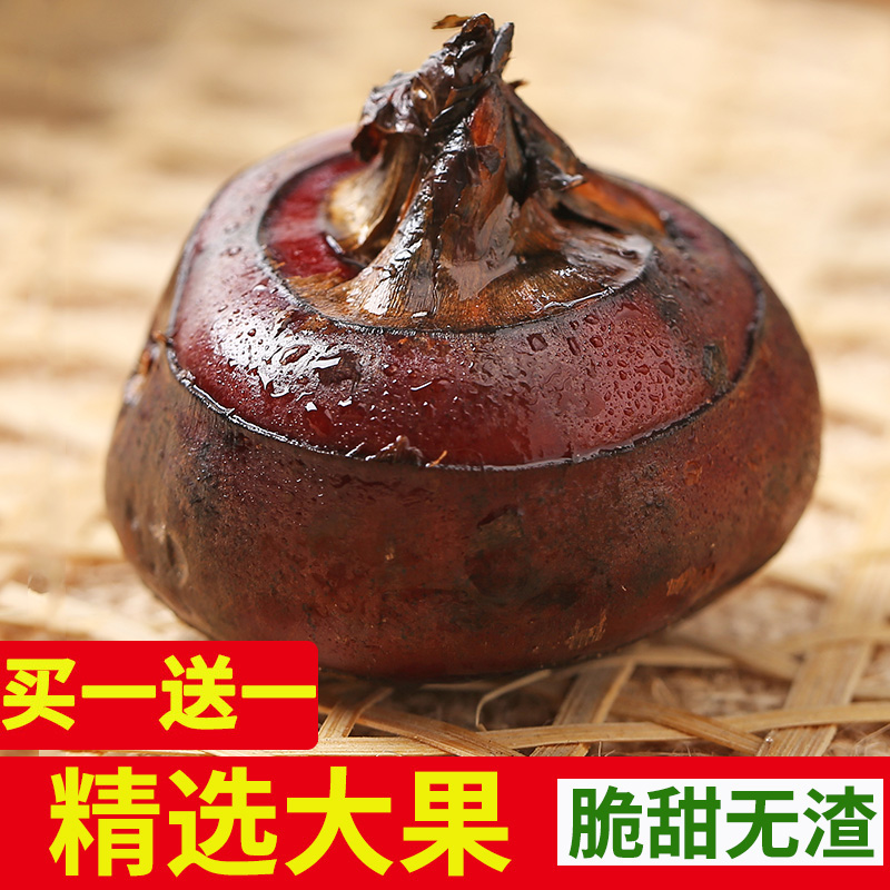 个大新鲜