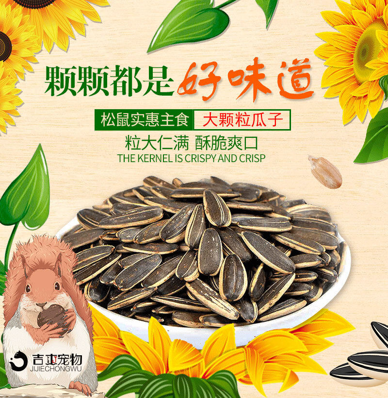 松鼠食物粮食生瓜子仓鼠鹦鹉土拨鼠粮食生瓜子仓鼠瓜子250克