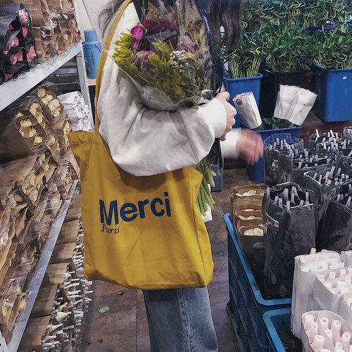 新款字母法式单肩帆布包