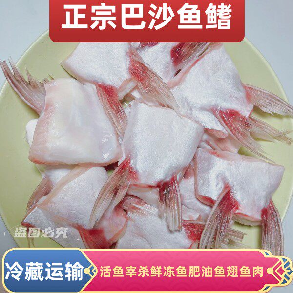 巴沙鱼鳍鱼翅网红鱼肥油鱼肚肉新鲜鱼肉冷冻水产鱼类肥嫩可口好吃