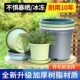 绿萝绣球月季 花盆控根透气塑料北欧Deepot月季 加仑盆 加厚四季 正品