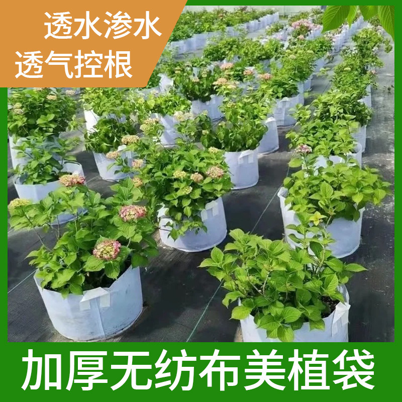 加厚无纺布种植袋透气控根透水渗水盆栽花盆园艺种植袋白色,鲜花速递/花卉仿真/绿植园艺,其它园艺用品,淘宝优惠券,粉丝福利购,淘宝优惠卷