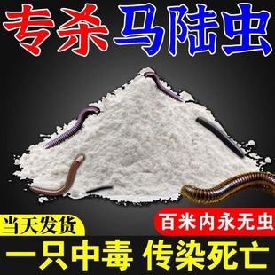 洁撒兵官方旗舰店必杀虫粉剂蚂蚁药白蚁药散即鱼衣臭虫专用7
