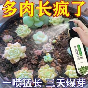 三天满盆】肉多多营养液爆芽王多肉爆盆专用肥助生长促发芽疯长剂