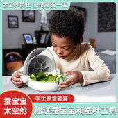 科学罐头蚕宝宝养育仓太空舱春蚕宝宝活物别墅饲养盒学生养蚕套装