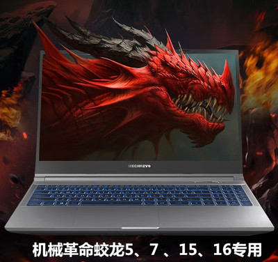 神舟Z86-ARM命SL7S2 KL7机S2电源适配器械革蛟龙1K旷世E笔记本充