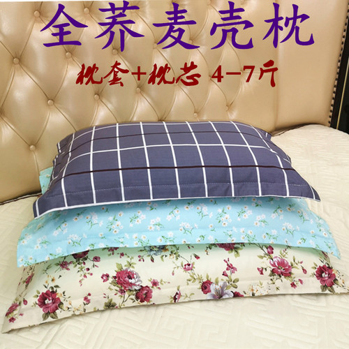 学生睡眠纯棉荞麦皮枕头