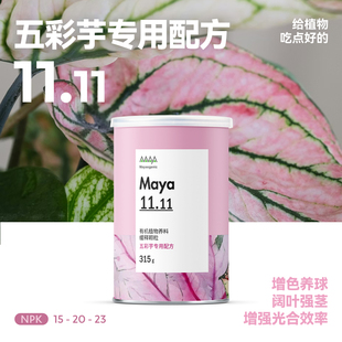 马雅Maya11.11 五彩芋型缓释营养颗粒有机肥彩叶芋海王安妮热植肥