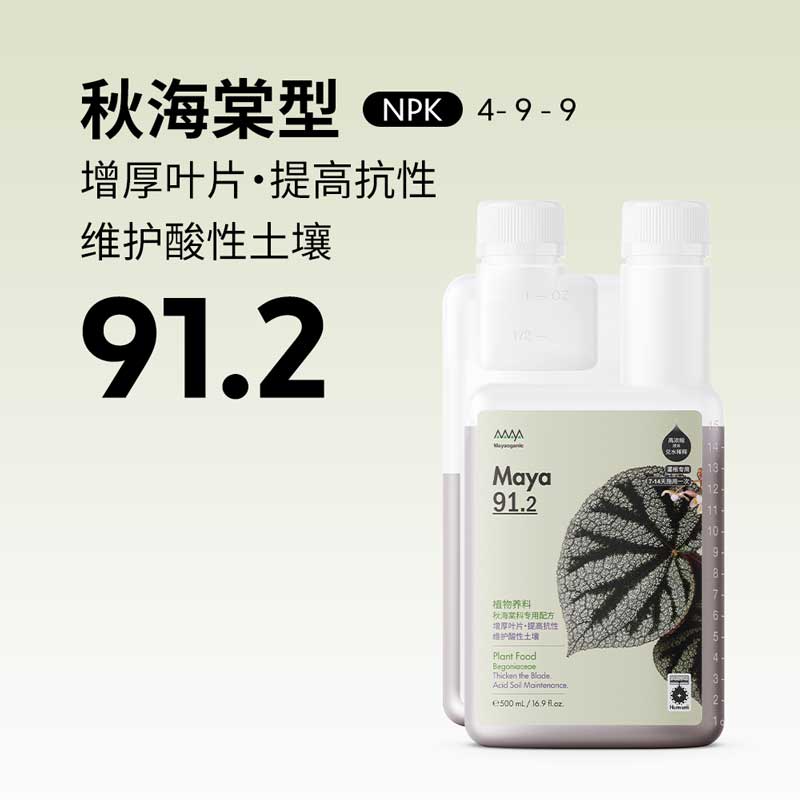 马雅Maya91.2秋海棠型500mL厚叶增抗家用均衡天然通用室内家庭