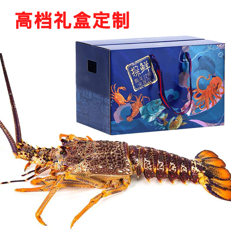 新鲜波龙海鲜礼盒澳龙海鲜冻品鲜扇贝鹅肝帝王蟹冻品礼盒定制团购