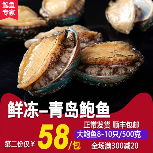 新鲜鲍鱼鲜活冷冻大连贝类