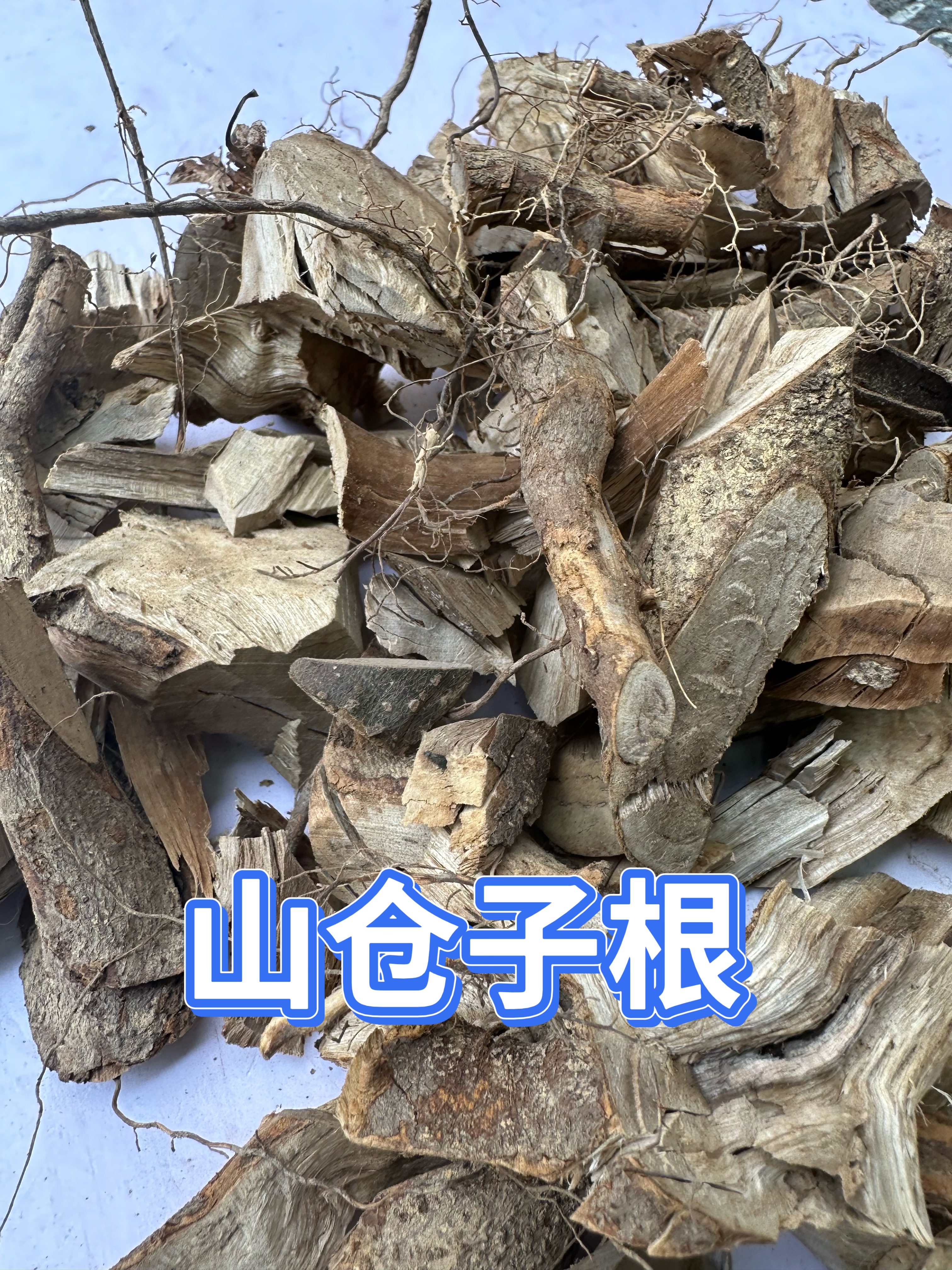 山苍子根福建尤溪野生山苍根 山鸡椒 木姜子炖猪脚汤料去乏力草根