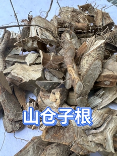 山苍子根福建尤溪野生山苍根 山鸡椒 木姜子炖猪脚汤料去乏力草根