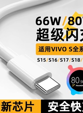 菲米斯适用vivo数据线超级闪充S19/S18/S17/S16/S15手机80W充电线s19Pro/s18Pro/S16e/s15e快充线66w加长2米