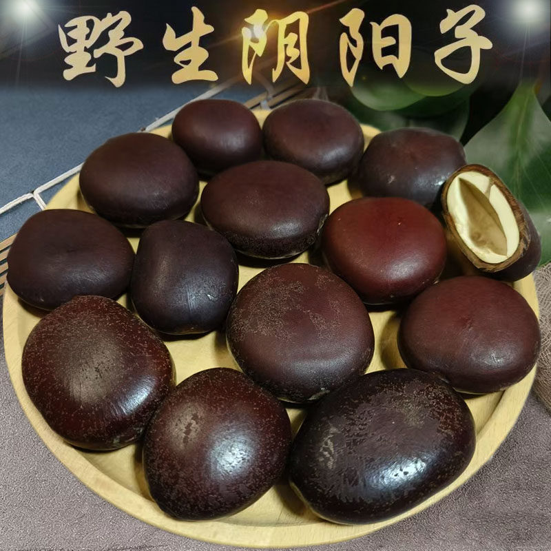 广西正品阴阳子野生木腰子过江龙中药材肾果泡酒料双肾子风流果