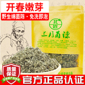 北匠三月茵陈 2025新货野生嫩芽白蒿 炒制绵茵陈草可搭红枣茵陈茶