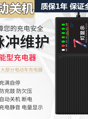 48V60V35Ah40Ah45Ah72电动车三轮车充电器石墨烯铅酸电池智能通用