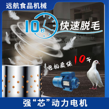 鹌鹑脱毛机鸽子去毛机拔毛机商用斑鸠打毛机鸟类乳鸽全自动不锈钢