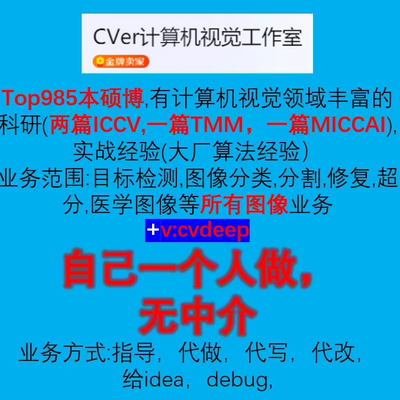 pytorch Python debug改代码 bug深度学习 图像 远程 跑通