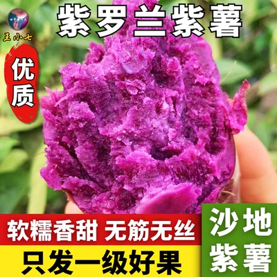 湖北紫薯新鲜沙地紫薯农家紫罗兰紫心番薯地瓜香甜粉糯蔬菜王小七