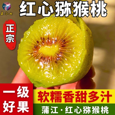 四川蒲江红心猕猴桃新鲜奇异果大果新鲜弥猴桃孕妇时令水果整箱