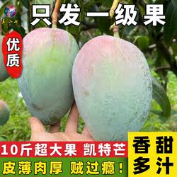 云南华坪凯特芒新鲜应季水果芒果整箱孕妇青大芒果鲜果王小七精选