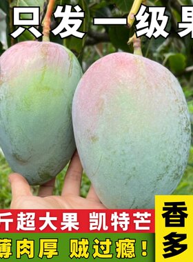 云南华坪凯特芒新鲜应季水果芒果整箱孕妇青大芒果鲜果王小七精选