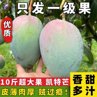 云南华坪凯特芒新鲜应季水果芒果整箱孕妇青大芒果鲜果王小七精选