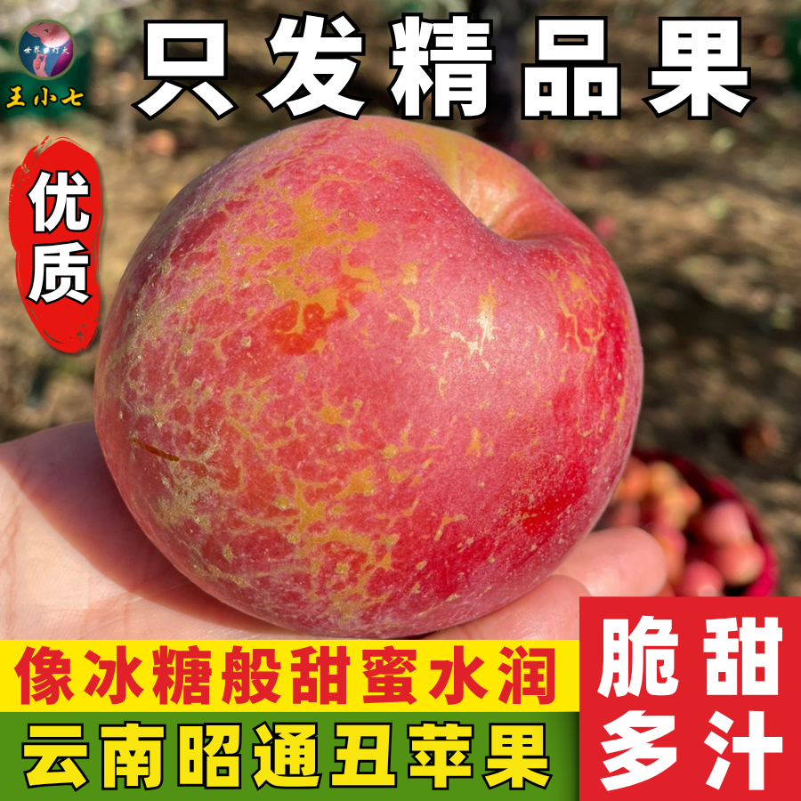 云南昭通丑苹果冰糖心苹果高原新鲜水果当季整箱水果清脆甜多汁,水产肉类/新鲜蔬果/熟食,苹果,淘宝优惠券,粉丝福利购,淘宝优惠卷