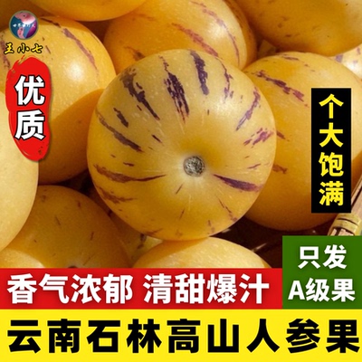云南石林人参果树熟时令水果圆果大果新鲜现摘黄肉黄心人叁果整箱