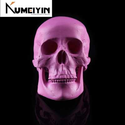 Halloween resin skull jewelry model decoration Medical Skul