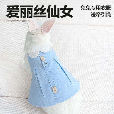 春桃设计兔子衣服宠物衣服牵引绳