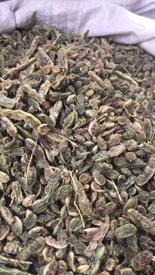 中药材野生槐角豆槐米角茶生晒干货500克包邮天然无硫新鲜干货