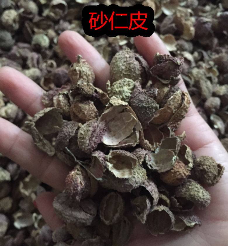 中药材砂仁皮阳春砂仁壳新鲜干货无硫砂仁皮1000克25包邮直销