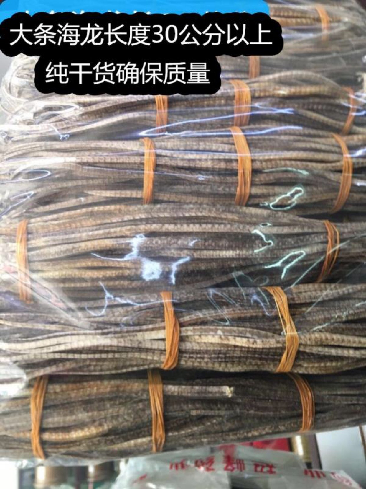 海龙干货250克四角长海龙材煲汤泡酒料滋补大条海龙