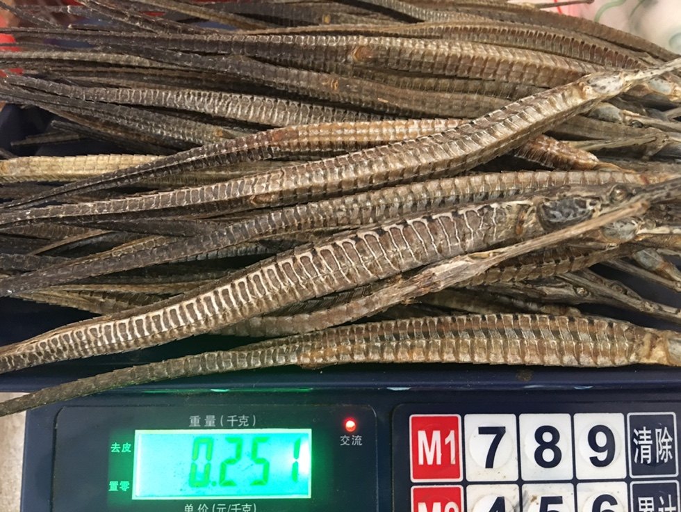 大号六角海龙海产品干海龙干货泡酒煲汤入药材料50克25条左右包邮