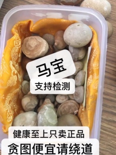 中药材马宝纯马宝马粪石马结石10克290包邮支持药检直销