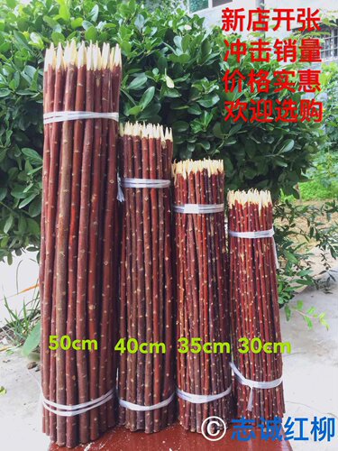 新疆烤肉烤肉签红柳枝签红柳签子