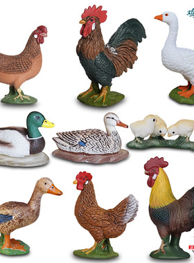 德国正品儿童认知仿真家禽动物公鸡母鸡母鸭13823鹅13799玩具模型