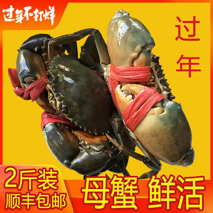 (正常发货)渔民母蟹(2斤装3-4只)青蟹鲜活海蟹螃蟹海鲜包顺丰