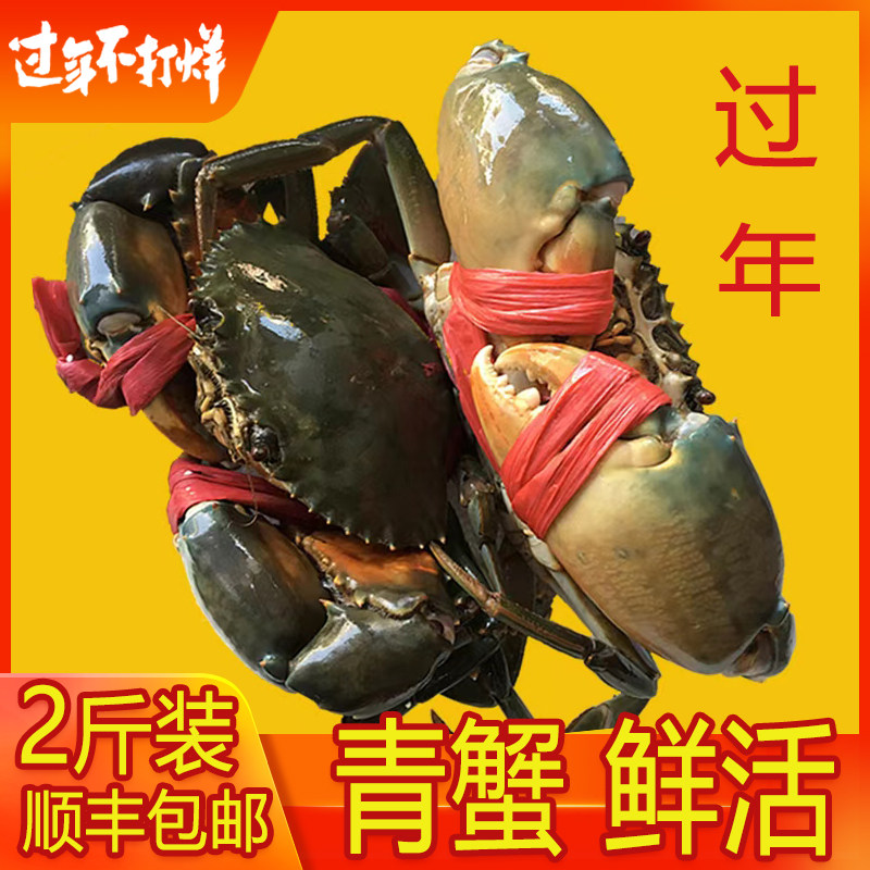 渔民青蟹(2斤装3-5只)青蟹大海蟹公螃蟹鲜活海鲜中秋好礼包邮顺丰