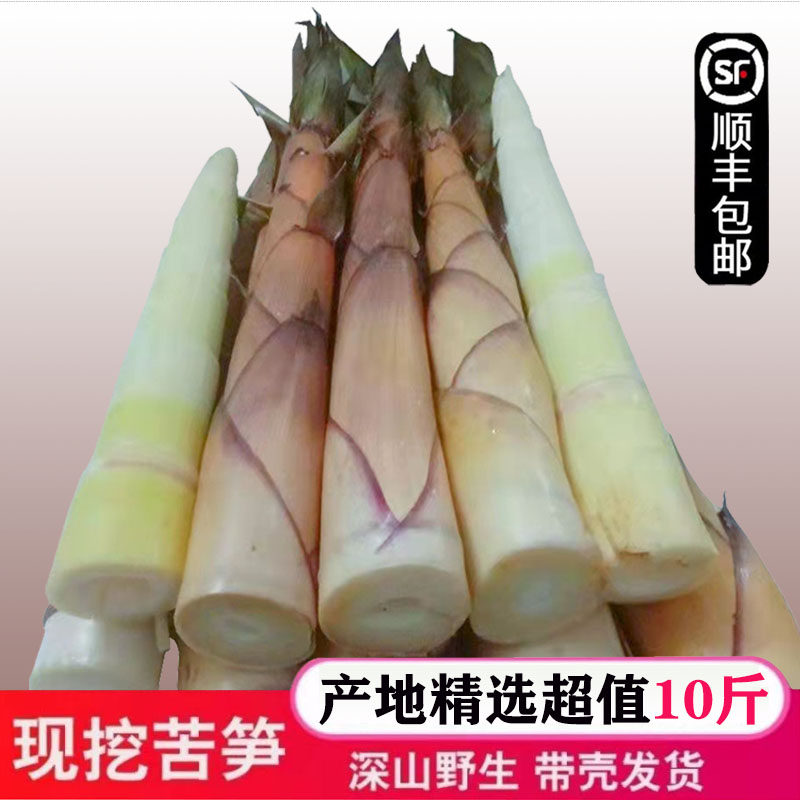 天然野生苦笋新鲜现挖连州苦笋小竹笋春笋带壳10斤非雷笋清水笋