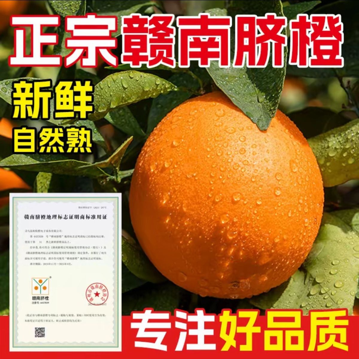 正宗赣南脐橙带叶发货皮薄甜9斤
