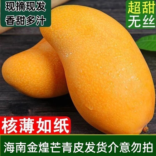 海南金煌芒当季树熟水果水仙芒9