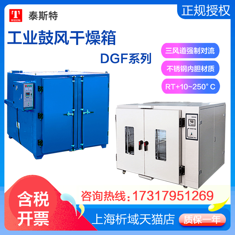 天津泰斯特DGF-4AB/5AB/6AB/7AB工业烘箱电热鼓风干燥箱250°烤箱