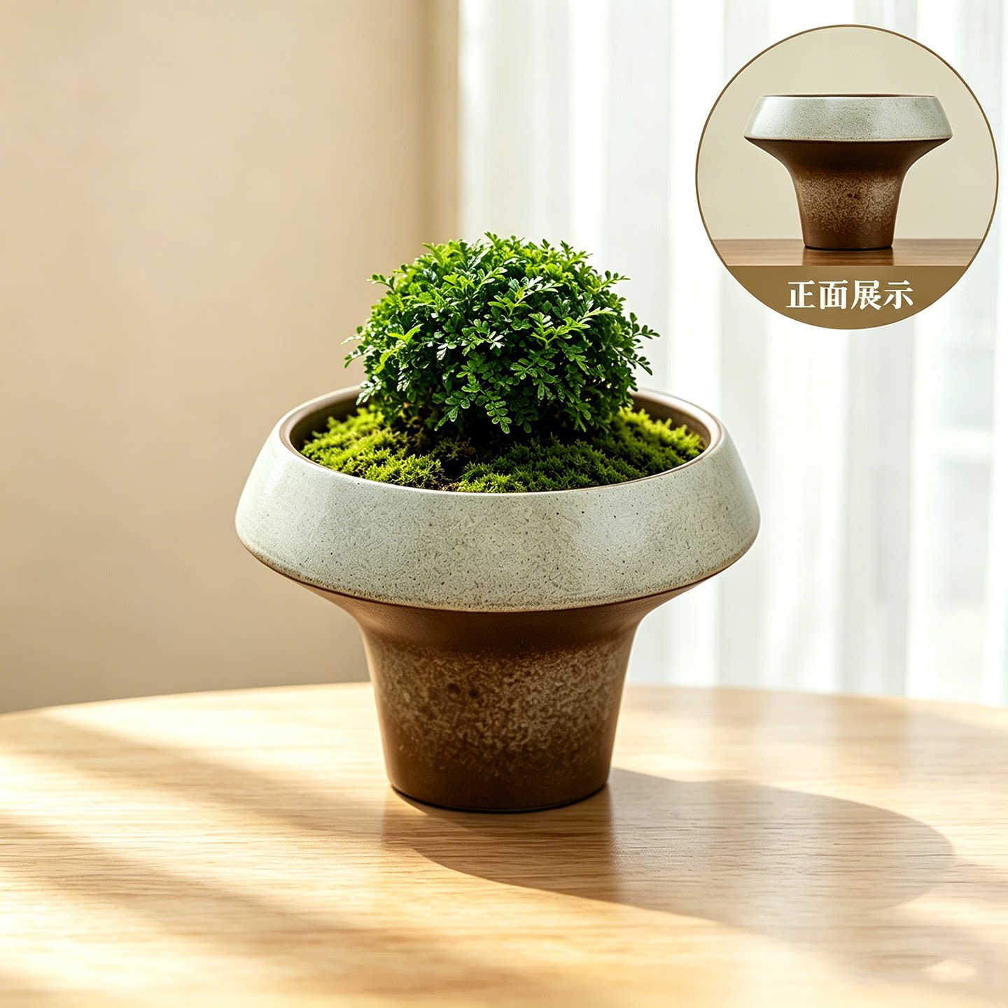 无孔水培陶瓷花盆个性造型设计苔藓专用桌面中小型绿植装饰盆栽盆