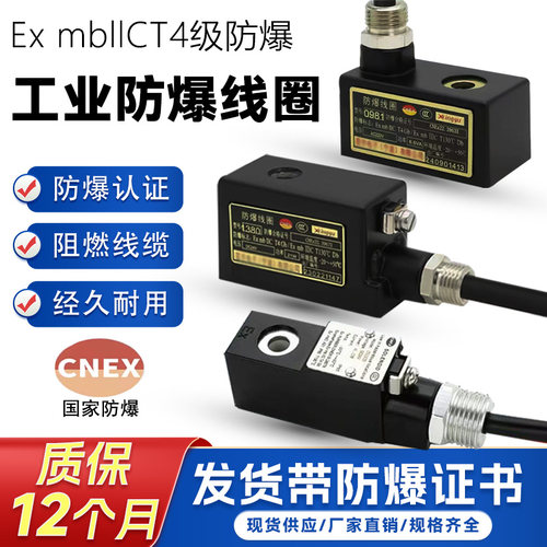 防爆线圈电磁脉冲阀气体粉尘防爆