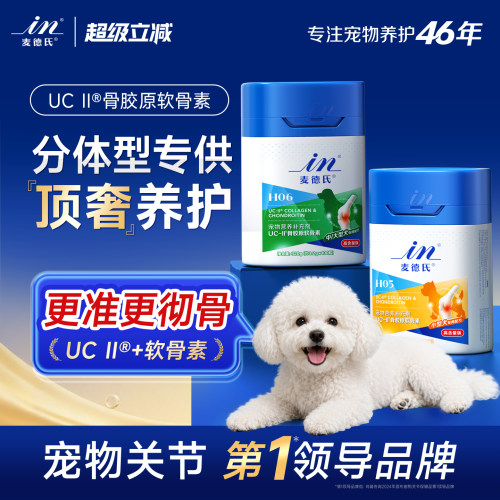 小狗护髌骨大狗强支撑