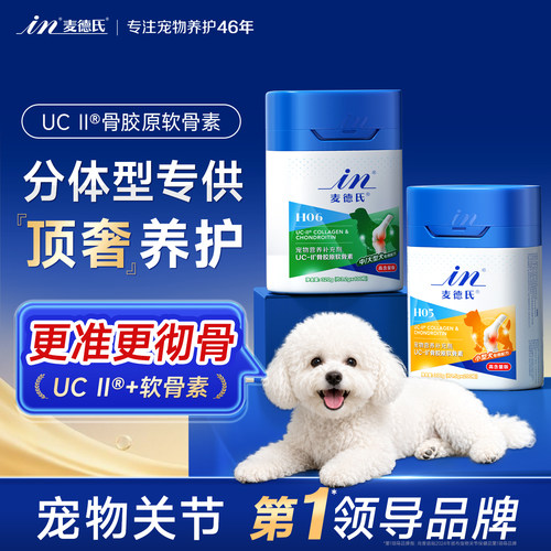 小狗护髌骨大狗强支撑